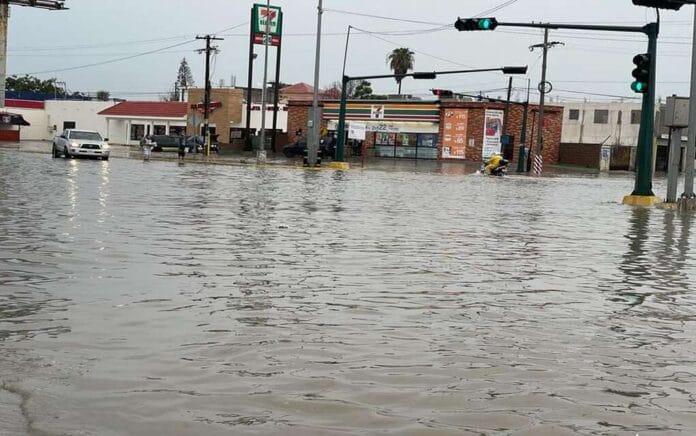 215981804_1377747735959306_2563743231202999248_n