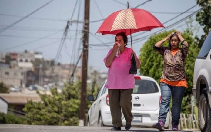 Los efectos de la canícula con elevadas temperaturas (1)
