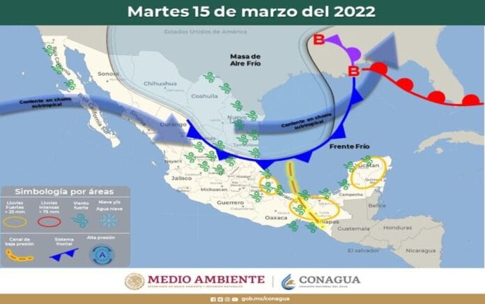 717b1724-36b3-4b07-8440-a1aac7e2afcb (1)