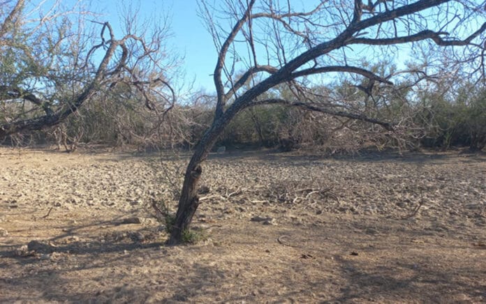 Sequía (1)