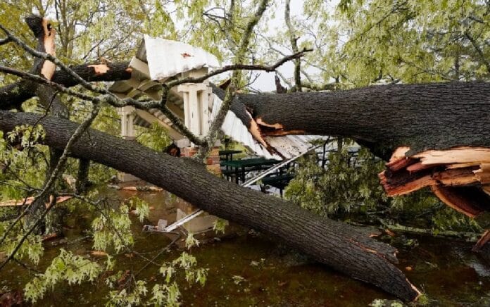 AP22090559812924 (1)