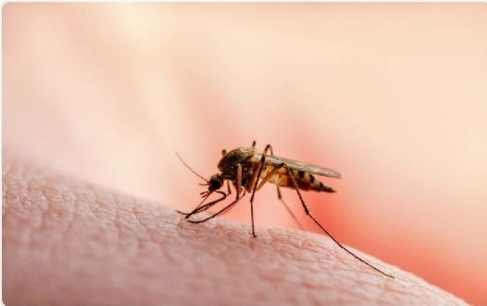 WhatsApp-Image-2022-04-19-at-2.33.23-PM