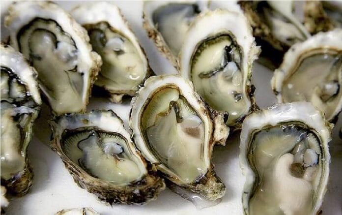 ¿Te gustan los ostiones- Coepris realiza operativo para frenar su venta en el sur de Tamaulipas