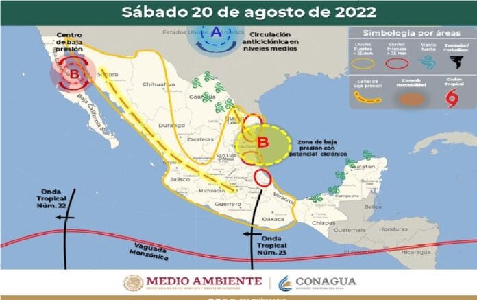 31e0848a-9025-41f4-86a2-aa9de7ccd889