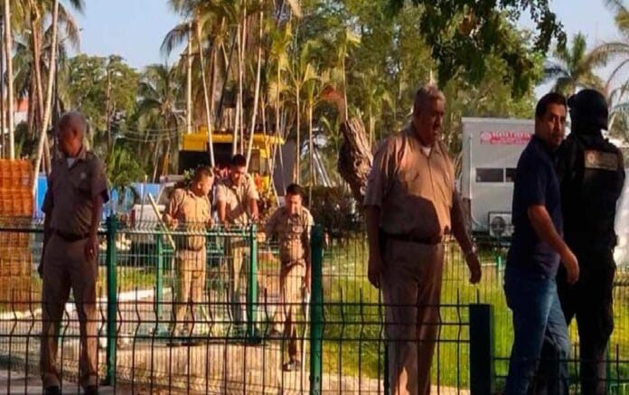 ataque cocodrilo tampico