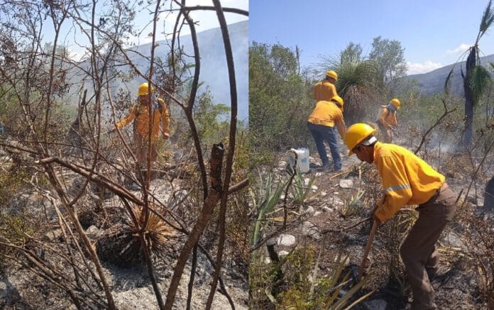 94fe505b-141c-4184-a087-60588607a2ea