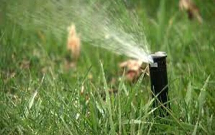 WhatsApp-Image-2023-08-23-at-8.40.43-PM-1140x620