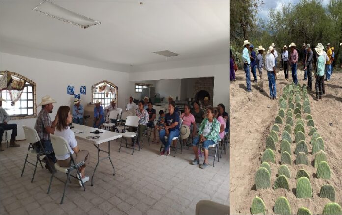 18b7f65f-4796-4542-b44f-b71fe22f18a4