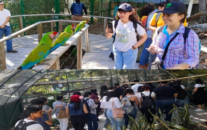 becf9cc9-e32c-42f7-869c-338d9ce60b6f