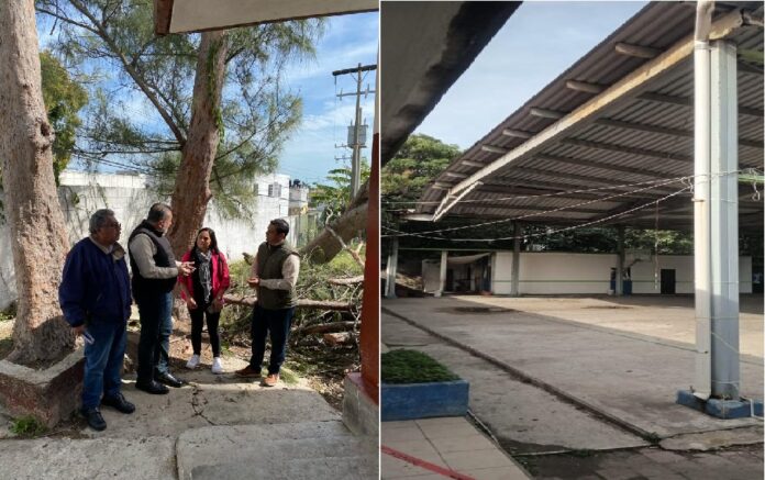 bad28da3-dc96-493b-827c-edd6882d9f14