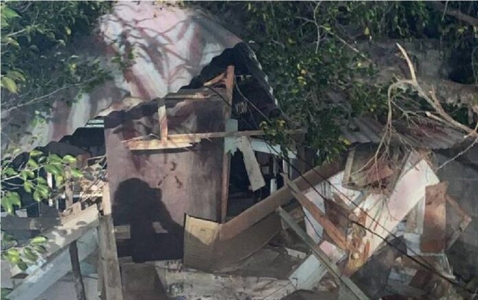 Árbol cae al interior de vivienda y lesiona a abuelita