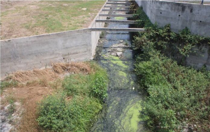 En canales a cielo abierto también se reproduce el mosco del dengue