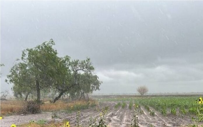 Sequia-en-el-campo-3