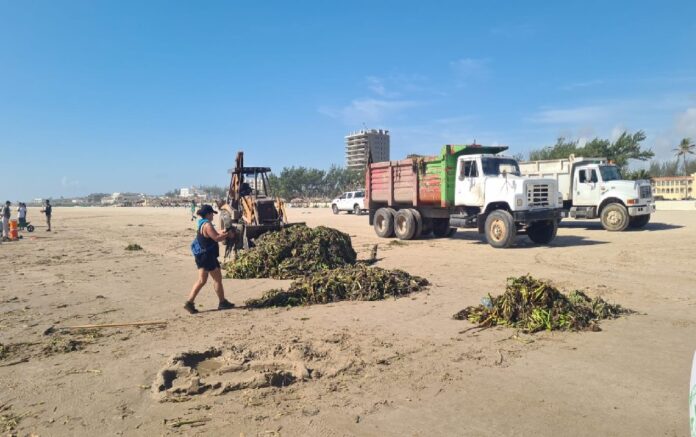 449391402_1001574245305472_6326224755979436921_n