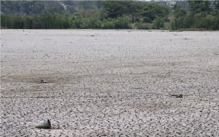 Diversas especies en riesgo a causa los bajos niveles