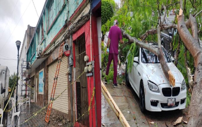 Se cae cornisa en negocio de Tampico