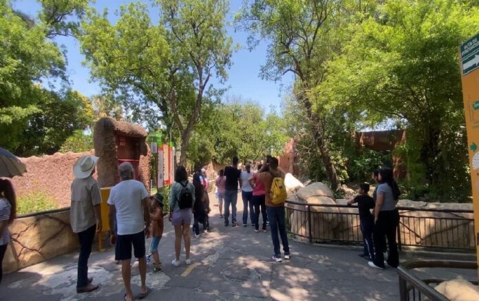 452433372_1016941663768730_4214811652527992152_n