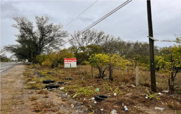 Inversionistas ponen sus ojos en el corredor