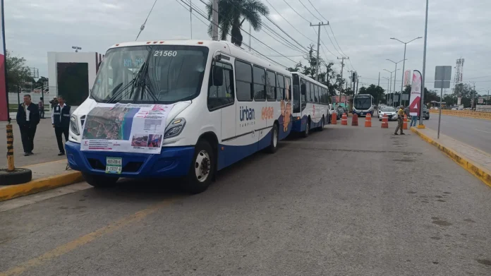 IMG_20250115_103548745