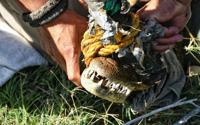 476229150_1175125361283692_3077008507057027752_n