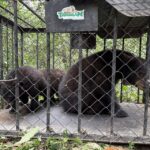 480674223_1183334093796152_5225735777061996507_n