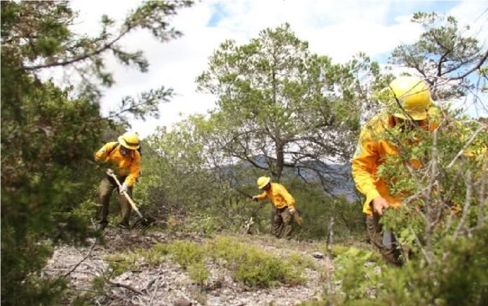 480795382_1193233379472890_6900896750893244188_n