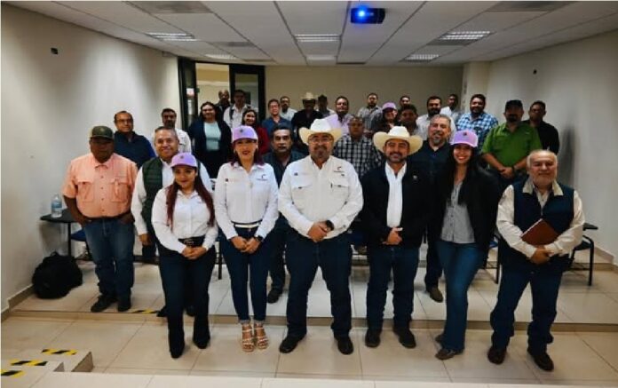 489702745_1229232315872996_3626647884678328906_n