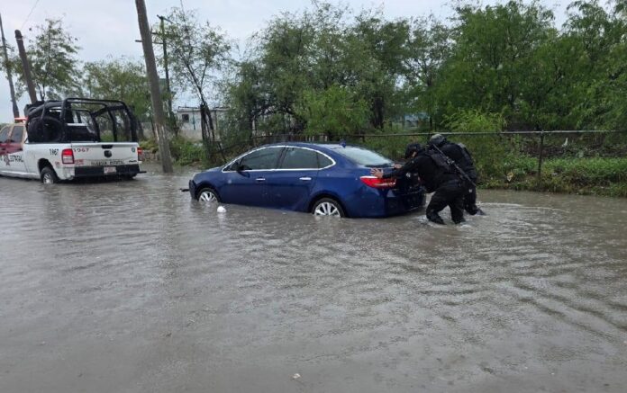 489960077_1241885494607678_4283042812660173494_n