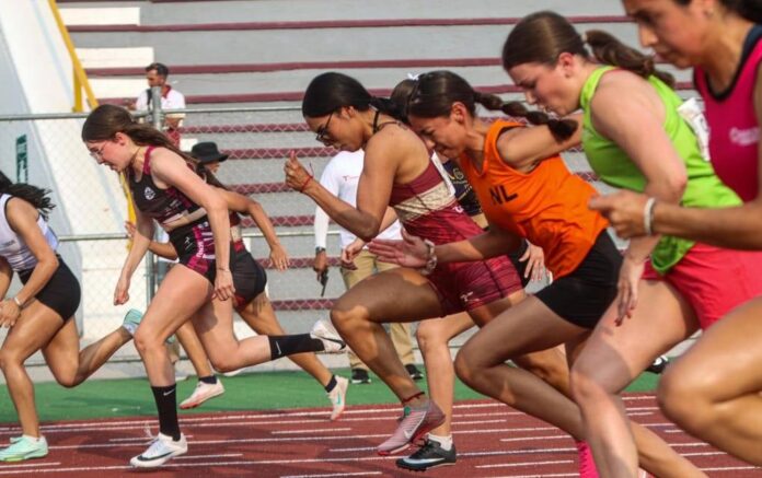 491960763_1242812251181669_3700019550104002667_n