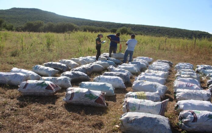 493313650_1242698951192999_837317745308280284_n