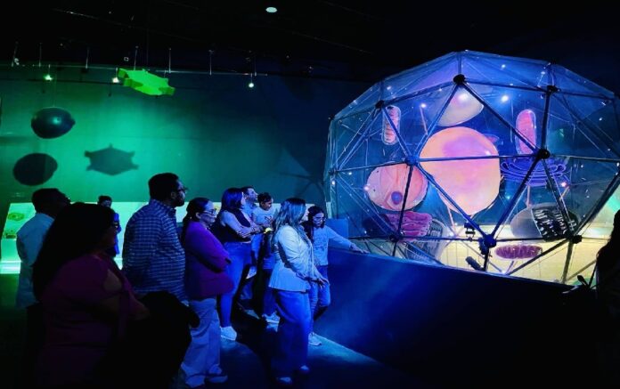 496013023_1260800342716193_4258556864440940667_n