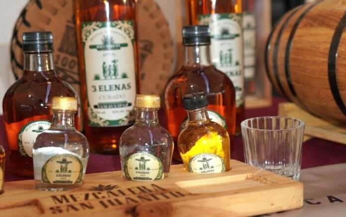 499572033_1269757768487117_6756609257233571726_n