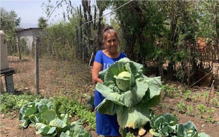 500208938_1270583108404583_6771958572630073324_n