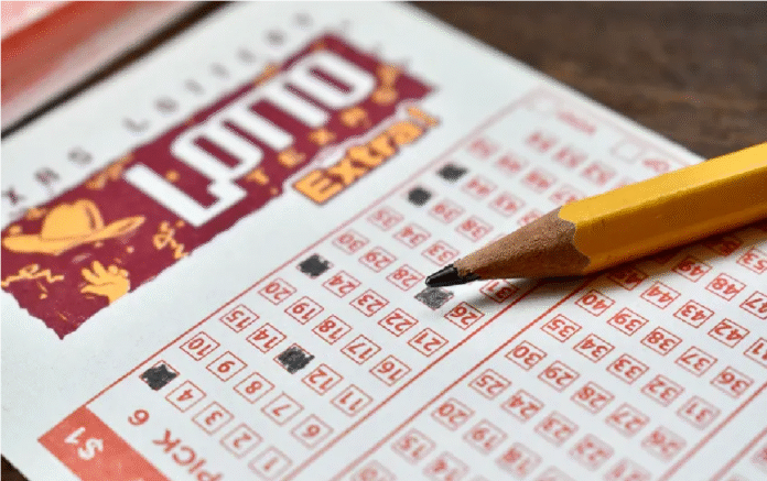 shutterstock_2312080541