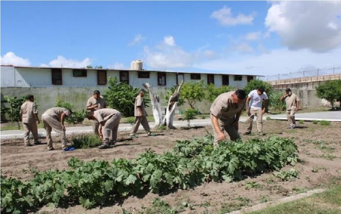 505995313_1286928650103362_3719940155164312353_n