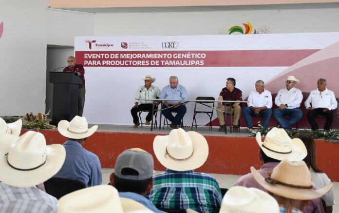 507208150_1289606046502289_3451325971976495460_n