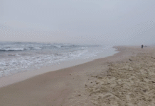 COEPRIS declara a playa Miramar apta para turismo