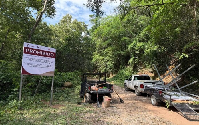 520306771_1318975230232037_2318285711988879693_n