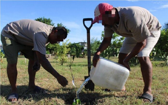 532307800_1344272637702296_9123375884265031861_n