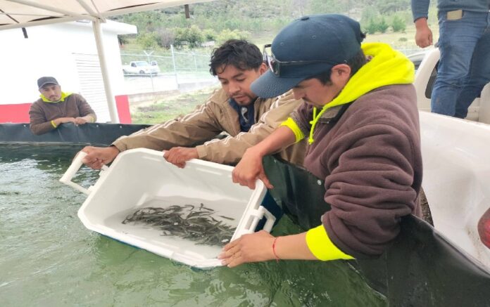 540943081_1361412839321609_199938303603682011_n