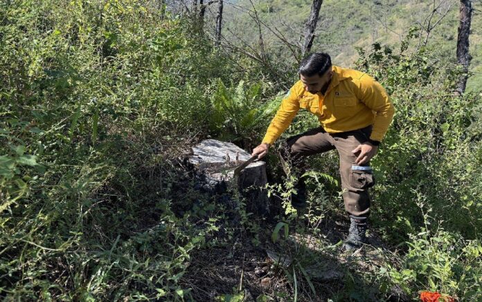 576347508_1424700269659532_8607490378093718848_n