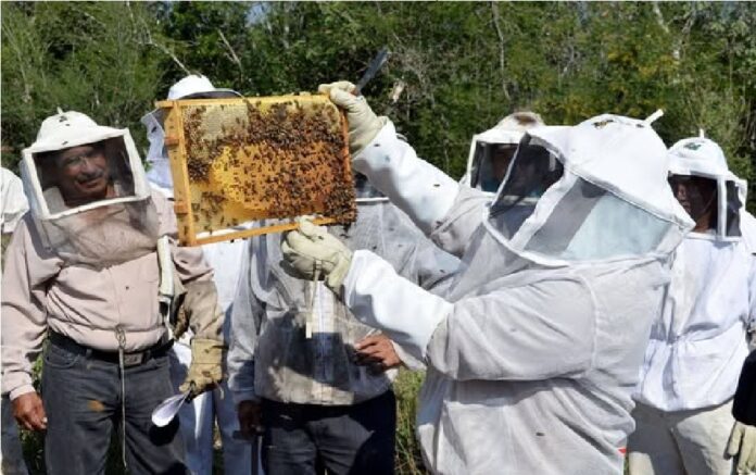 577971768_1428613909268168_543232130772893844_n