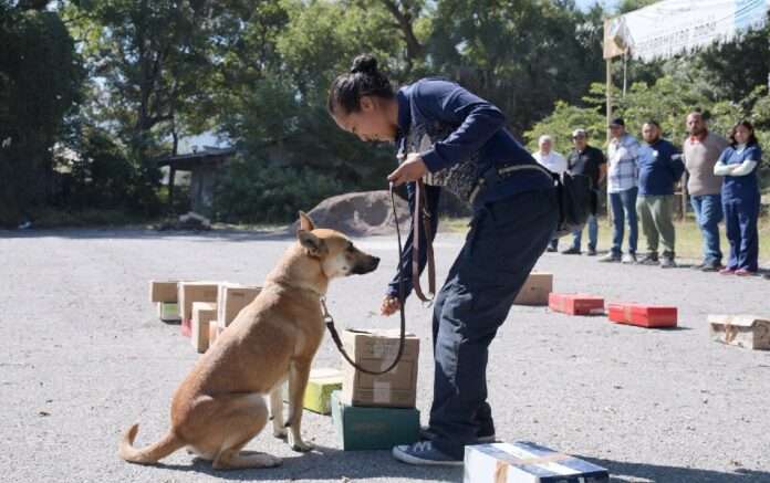 579402991_1429761982486694_639667101919539616_n