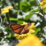 583914028_1434235545372671_8618512392011061056_n