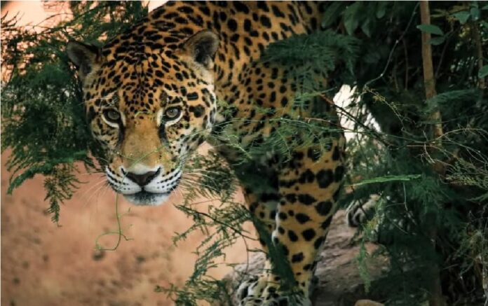 585343400_1436024828527076_685707833223547073_n