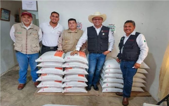 588505707_1441069061355986_5137202396735804525_n