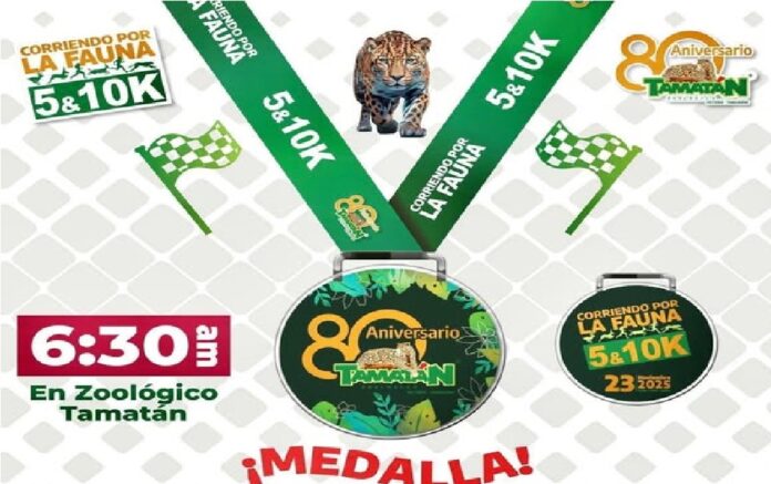 588529320_1438872181575674_8986673448483801836_n