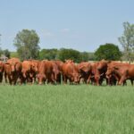 589723678_1443062134490012_84661796298102594_n