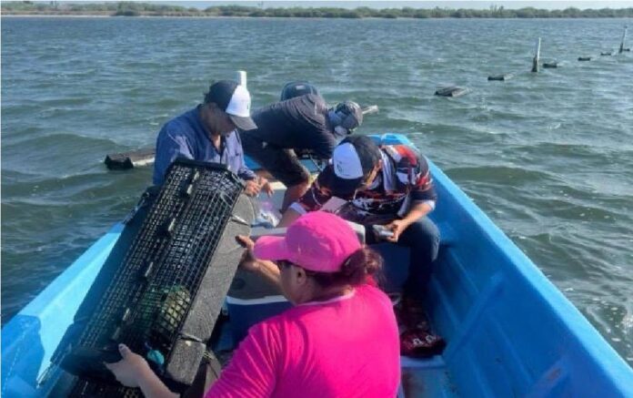 590634025_1443905444405681_7110661523435792855_n