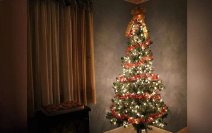 EMITE-BOMBEROS-RECOMENDACIONES-PARA-LOS-PINOS-DE-NAVIDAD-696x392